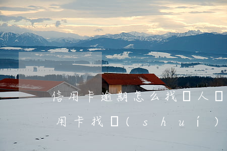 信用卡逾期怎么找專人協(xié)商(欠信用卡找誰(shuí)協(xié)商)