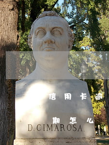 信用卡逾期怎么找平臺(tái)-征信逾期怎么辦信用卡
