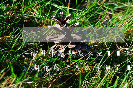 信用卡逾期怎么把錢還上來(lái)(還逾期信用卡怎么才能不還利息)