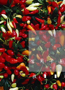 信用卡逾期怎么投訴平臺(tái)-怎么投訴銀行信用卡