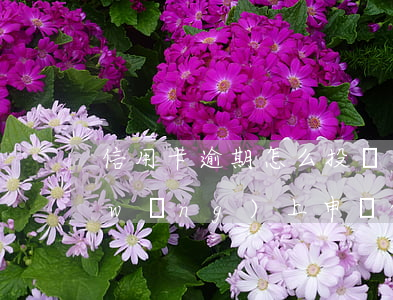 信用卡逾期怎么投訴網(wǎng)上(網(wǎng)上申請的信用卡逾期了會(huì)怎么樣)