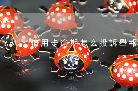 信用卡逾期怎么投訴舉報