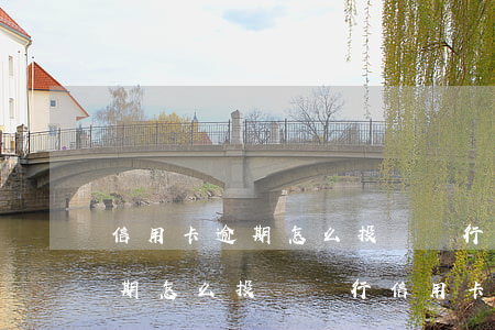 信用卡逾期怎么投訴銀行信用卡-信用卡逾期怎么投訴銀行信用卡客服