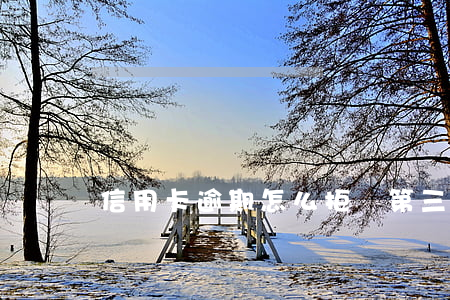信用卡逾期怎么拒絕第三方