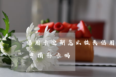 信用卡逾期怎么挂失(信用卡逾期挂失了,可以申请补卡吗?)