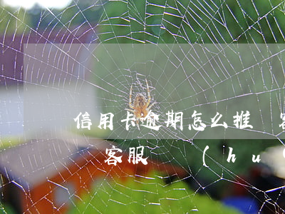 信用卡逾期怎么推廣客服(信用卡逾期怎么推廣客服電話(huà))