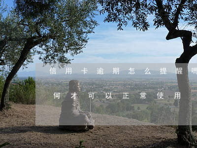 信用卡逾期怎么提醒嗎(逾期以后的信用卡如何才可以正常使用)