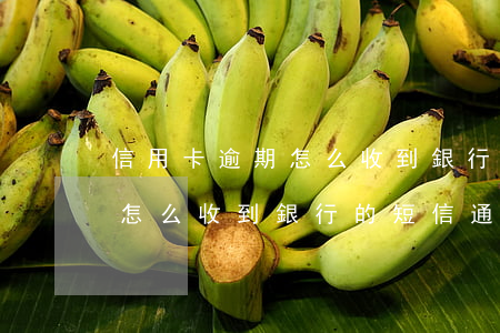 信用卡逾期怎么收到銀行的短信(信用卡逾期怎么收到銀行的短信通知)
