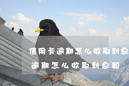 信用卡逾期怎么收取利息和違約金-信用卡逾期怎么收取利息和違約金的