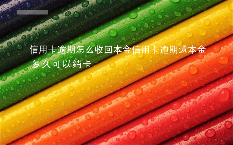 信用卡逾期怎么收回本金(信用卡逾期還本金多久可以銷卡)