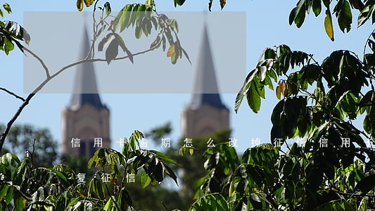 信用卡逾期怎么改掉征信(信用卡逾期怎么恢复征信)