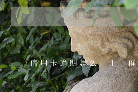 信用卡逾期怎么會上門催