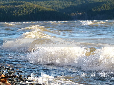 信用卡逾期怎么會知道新單位地址-信用卡逾期怎么會知道新單位地址呢