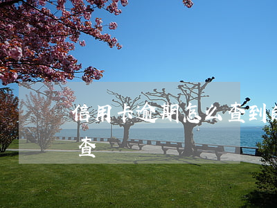 信用卡逾期怎么查到的(信用卡逾期查詢怎么查)