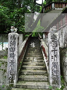 信用卡逾期怎么查本金欠多少上海-信用卡逾期怎么查本金欠多少上海银行的钱