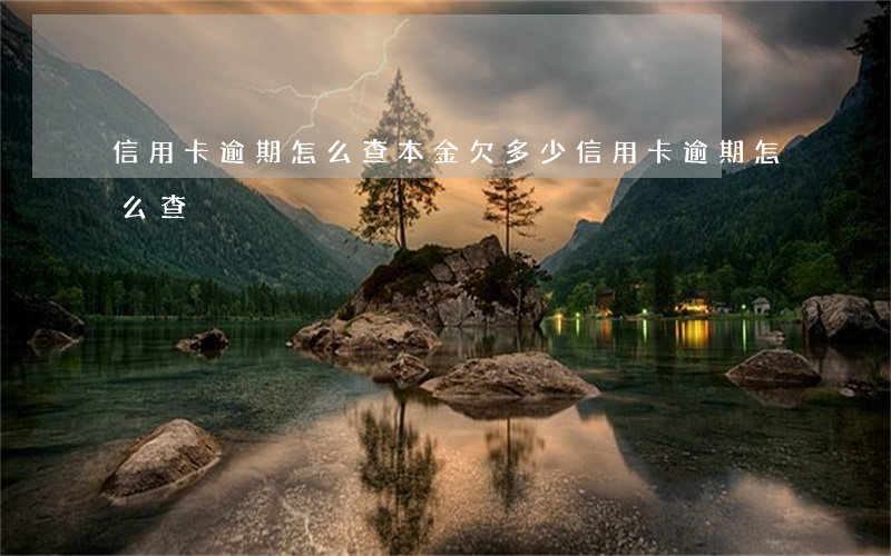 信用卡逾期怎么查本金欠多少（信用卡 逾期 怎么查）