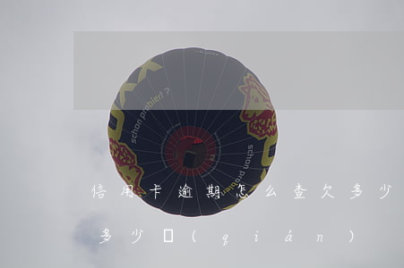 信用卡逾期怎么查欠多少(怎么查信用卡逾期多少錢(qián))