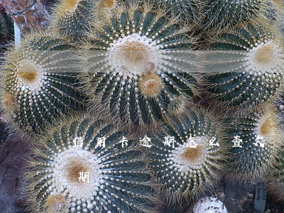 信用卡逾期怎么查欠賬 怎么能查出信用卡逾期