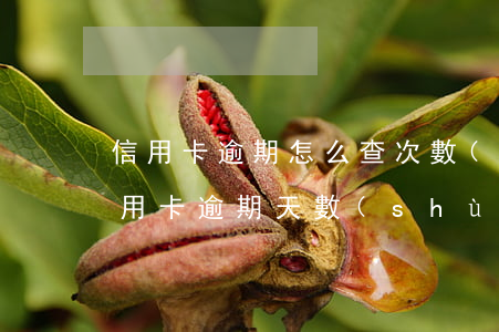 信用卡逾期怎么查次數(shù) 怎么查信用卡逾期天數(shù)