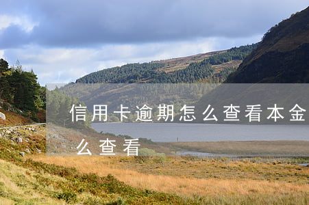 信用卡逾期怎么查看本金多少（信用卡逾期怎么查看）