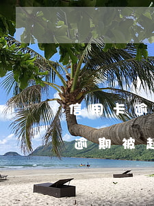 信用卡逾期怎么查看黑名單-怎么查信用卡逾期被起訴名單