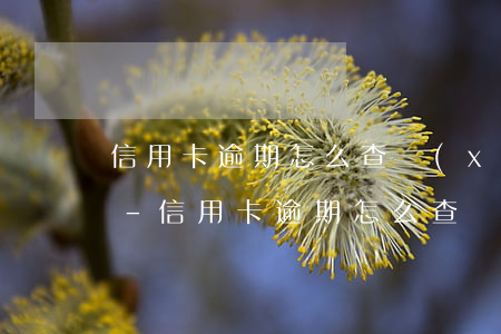 信用卡逾期怎么查詢(xún)是否被拉黑-信用卡逾期怎么查詢(xún)是否被拉黑名單