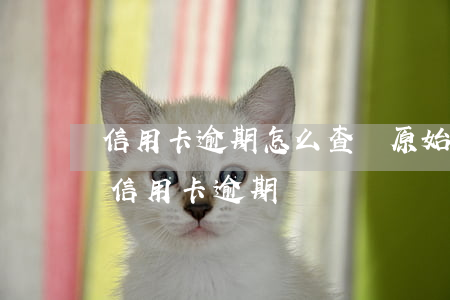 信用卡逾期怎么查詢原始額度民生(怎么查詢信用卡逾期)