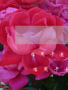 信用卡逾期怎么查詢明細(xì)(如何查詢信用卡逾期情況)
