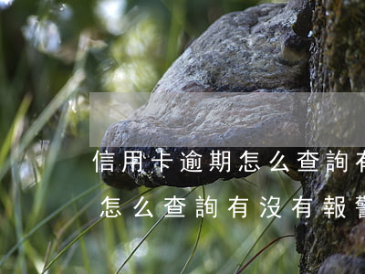 信用卡逾期怎么查詢有沒有報警(信用卡逾期怎么查詢有沒有報警記錄)