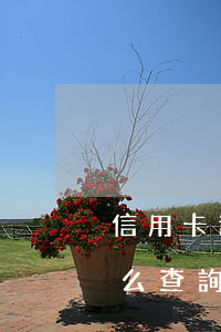 信用卡逾期怎么查詢欠款本金 信用卡逾期怎么查詢欠款本金和利息
