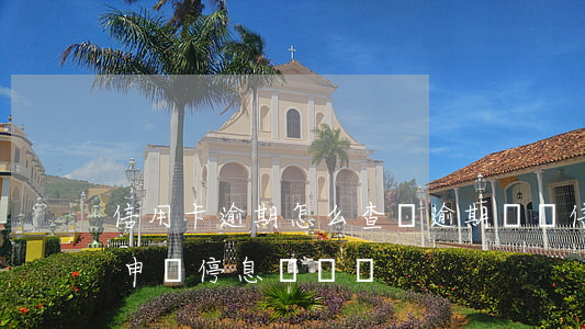 信用卡逾期怎么查詢逾期記錄（信用卡逾期能申請停息掛賬嗎）
