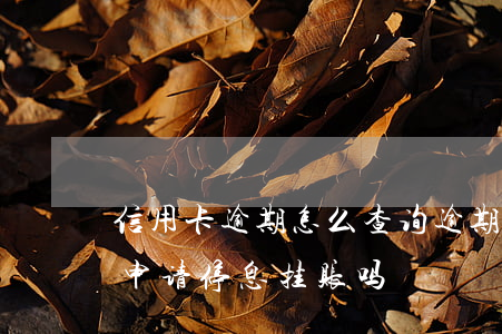 信用卡逾期怎么查询逾期记录（信用卡逾期能申请停息挂账吗）