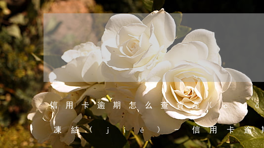 信用卡逾期怎么查資產(chǎn)是否被凍結(jié)-信用卡逾期怎么查資產(chǎn)是否被凍結(jié)了