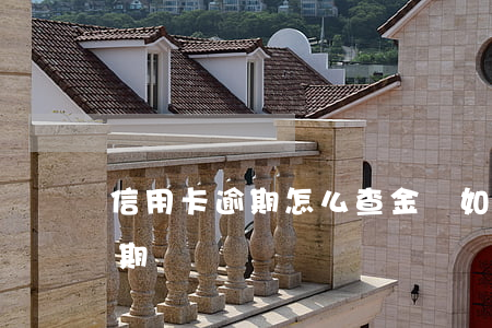 信用卡逾期怎么查金額(如何查哪張信用卡逾期)