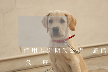 信用卡逾期怎么查開庭(信用卡逾期訴訟要多久開庭)