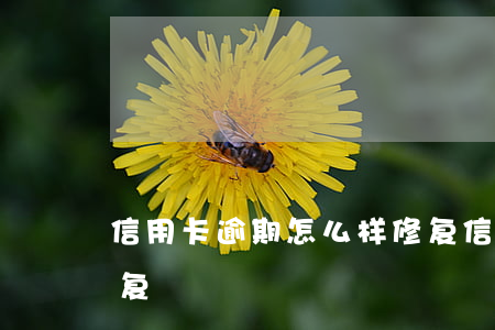 信用卡逾期怎么样修复(信用卡逾期怎么样修复)