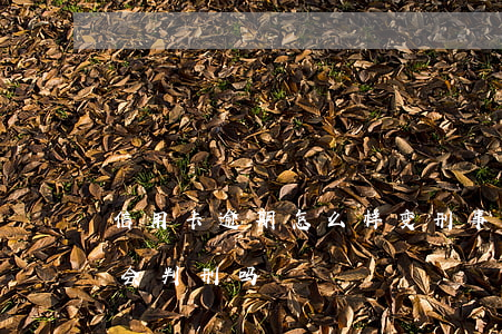 信用卡逾期怎么样变刑事 银行的信用卡逾期会判刑吗
