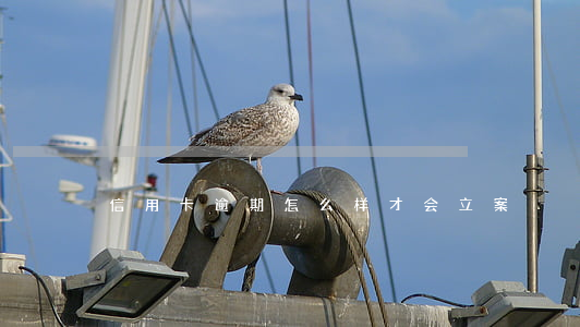 信用卡逾期怎么样才会立案