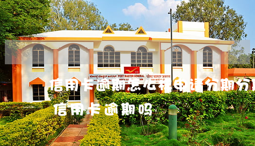 信用卡逾期怎么样申请分期(分期卡逾期属于信用卡逾期吗)
