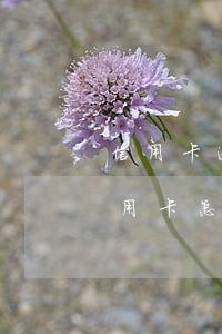 信用卡逾期怎么样申请异地管辖-逾期了信用卡怎么办