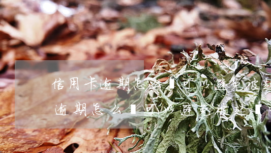 信用卡逾期怎么樣可以避免被起訴-信用卡逾期怎么樣可以避免被起訴呢