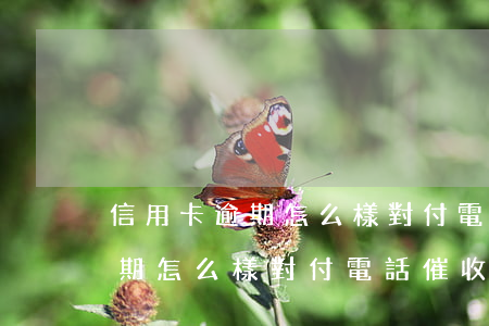 信用卡逾期怎么樣對付電話催收-信用卡逾期怎么樣對付電話催收的
