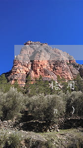 信用卡逾期怎么樣才能不扣卡里錢(qián)(信用卡逾期怎么樣才能不扣卡里錢(qián)呢)