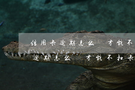 信用卡逾期怎么樣才能不扣卡里錢-信用卡逾期怎么樣才能不扣卡里錢呢
