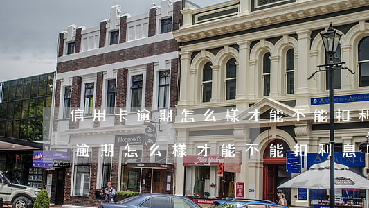 信用卡逾期怎么樣才能不能扣利息-信用卡逾期怎么樣才能不能扣利息呢