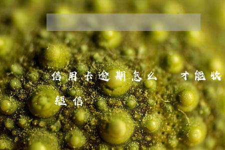 信用卡逾期怎么樣才能收到短信(信用卡逾期短信)