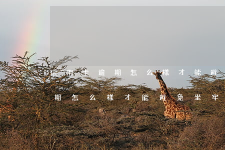 信用卡逾期怎么樣才能避免坐牢-信用卡逾期怎么樣才能避免坐牢人員