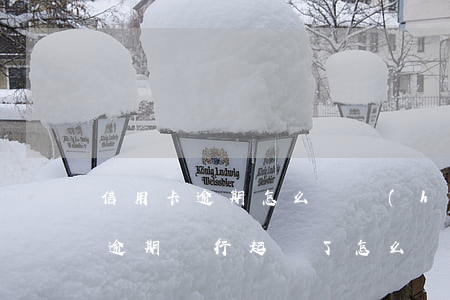 信用卡逾期怎么樣會(huì)起訴(信用卡逾期銀行起訴了怎么辦會(huì)有什么后果)