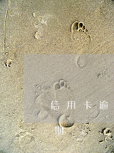 信用卡逾期怎么樣查原因(如何查詢信用卡逾期)