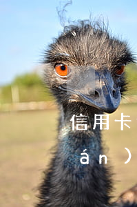 信用卡逾期怎么樣申請個性化還款-嚴(yán)重逾期還清后申請信用卡